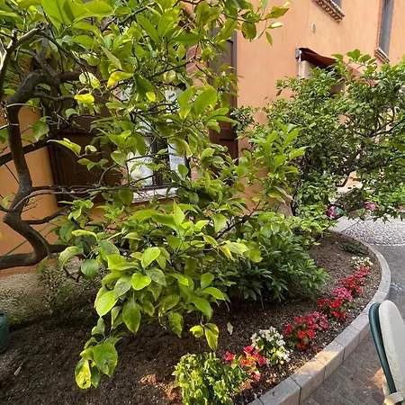 Elisabetta 1